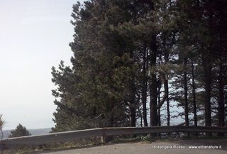 ntuario Dinnammare-10-05-2015 19-01-05